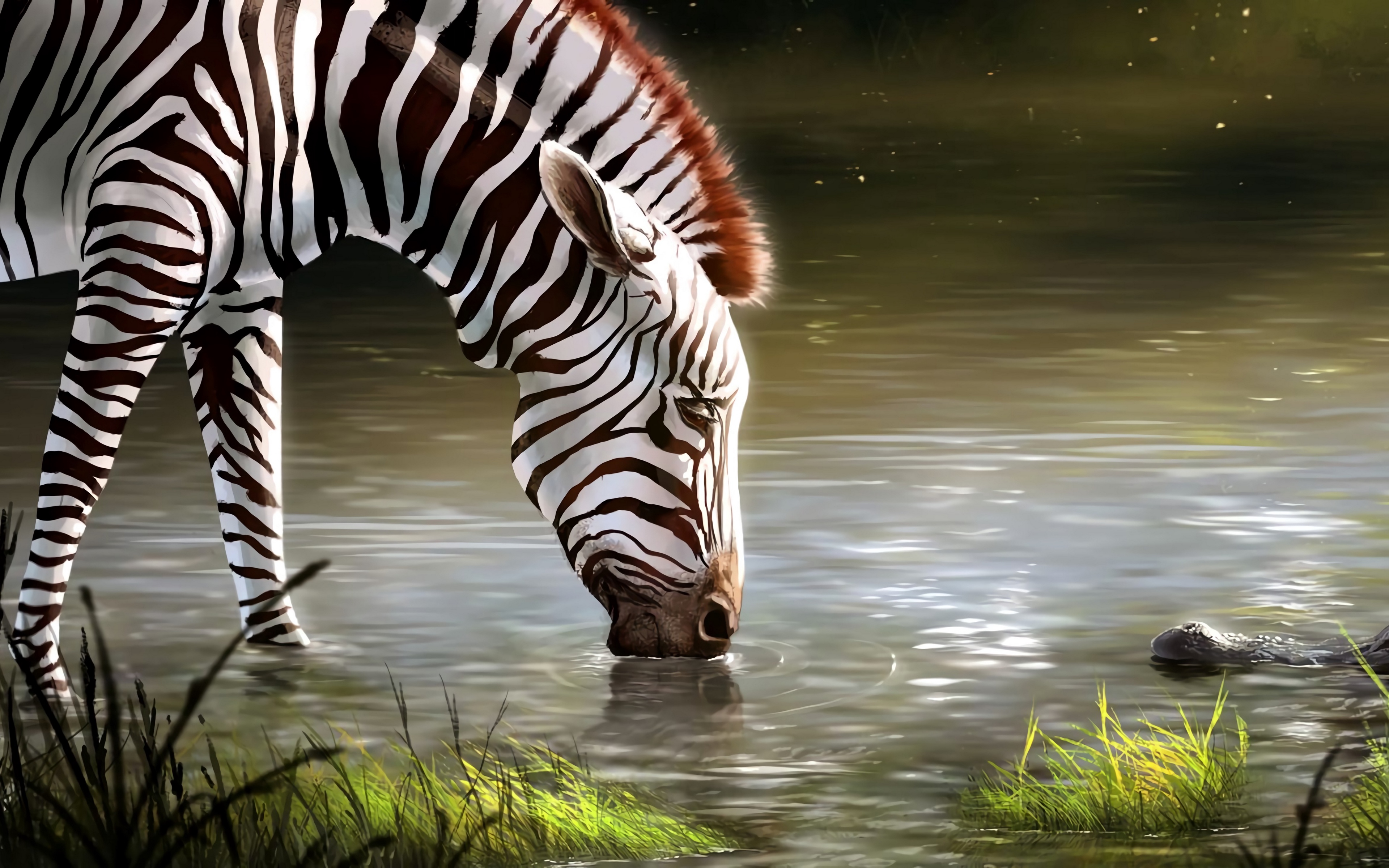 Wallpaper Zebra, Lake, Art, Animal, Wildlife , HD Wallpaper & Backgrounds