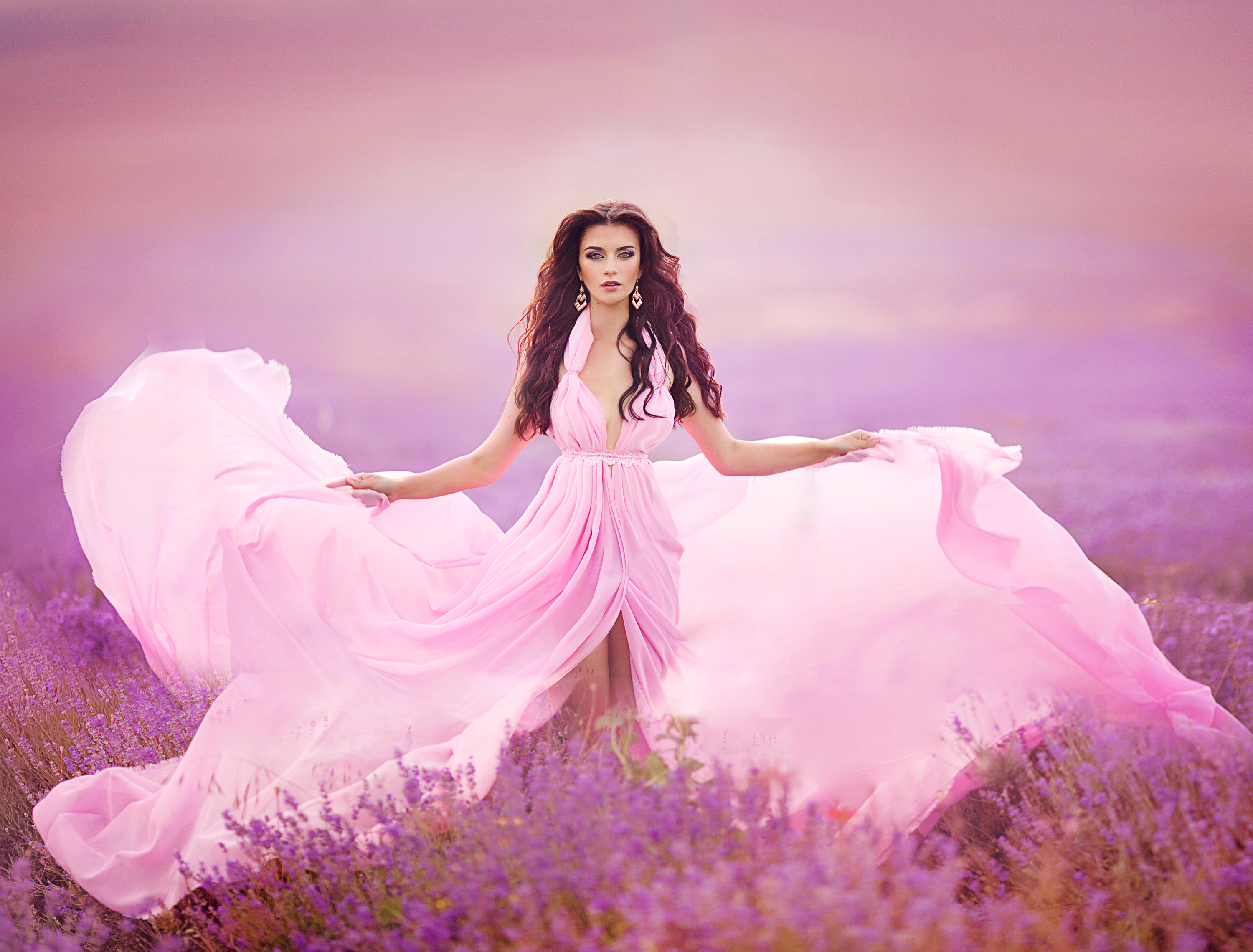 Woman Lavender Field , HD Wallpaper & Backgrounds