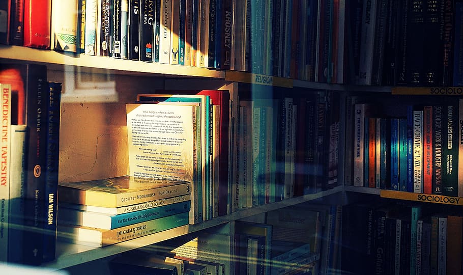 Photography Of Books On Bookshelf, Bookcase, Bookshelves, - Programming Books , HD Wallpaper & Backgrounds