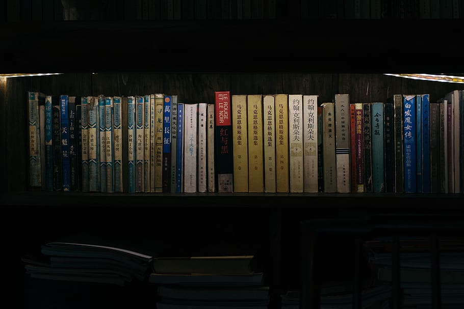 Books On Bookshelf, Bookcase, Furniture, Luomuzhen, - Kitaben Hindi Quotes , HD Wallpaper & Backgrounds
