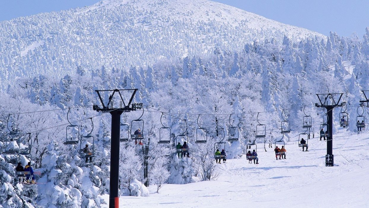 Winter Forest Ski Resort Wallpaper - Ski Resort Wallpaper Hd , HD Wallpaper & Backgrounds
