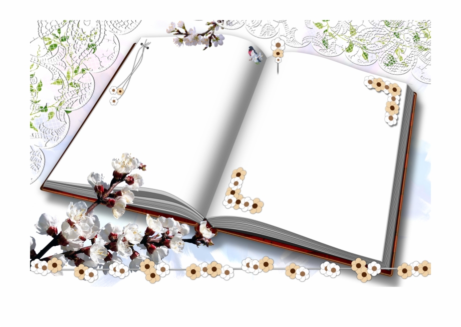 Book Frame Png - Photoshop , HD Wallpaper & Backgrounds