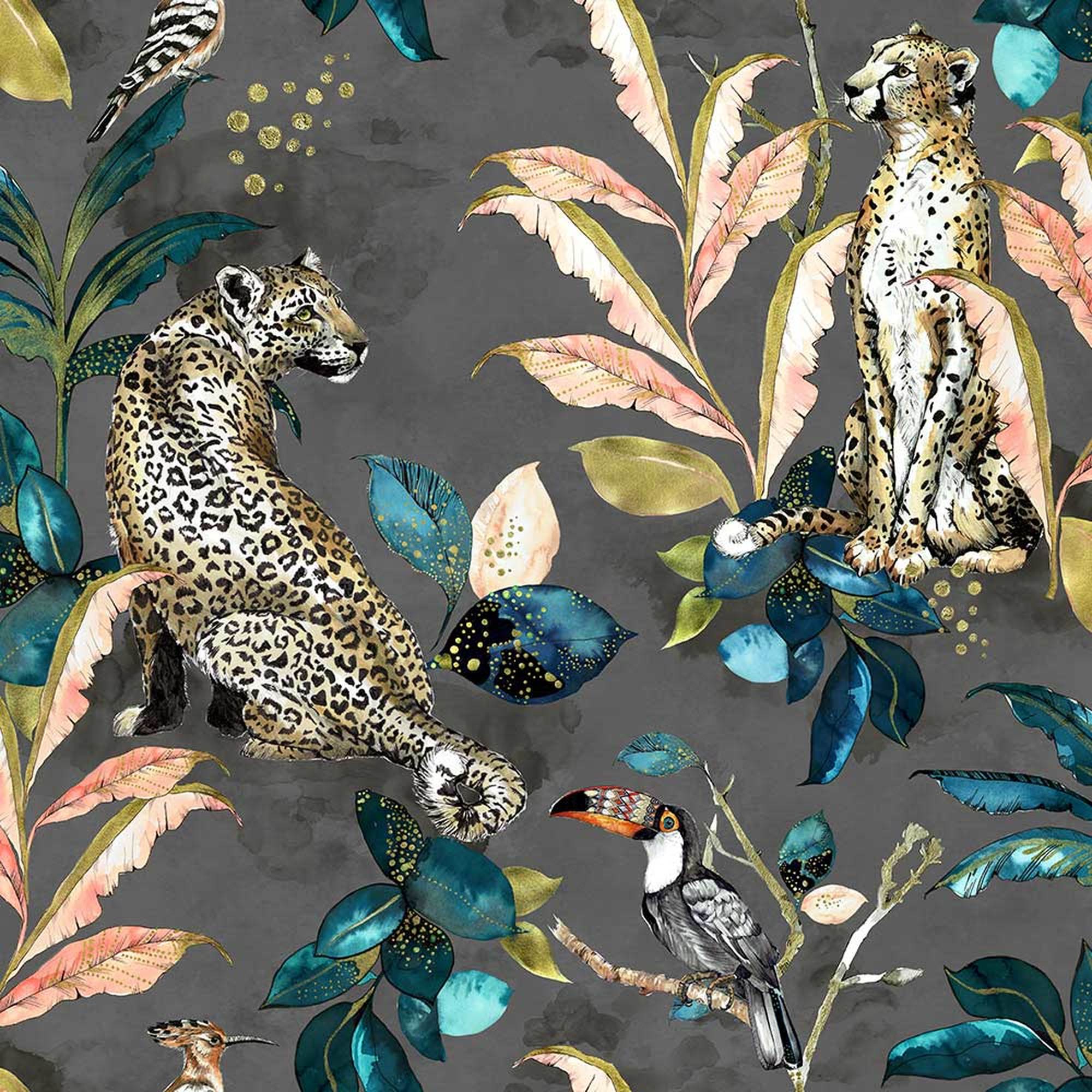 Cheetah - Dark Grey - Graduate Collection , HD Wallpaper & Backgrounds