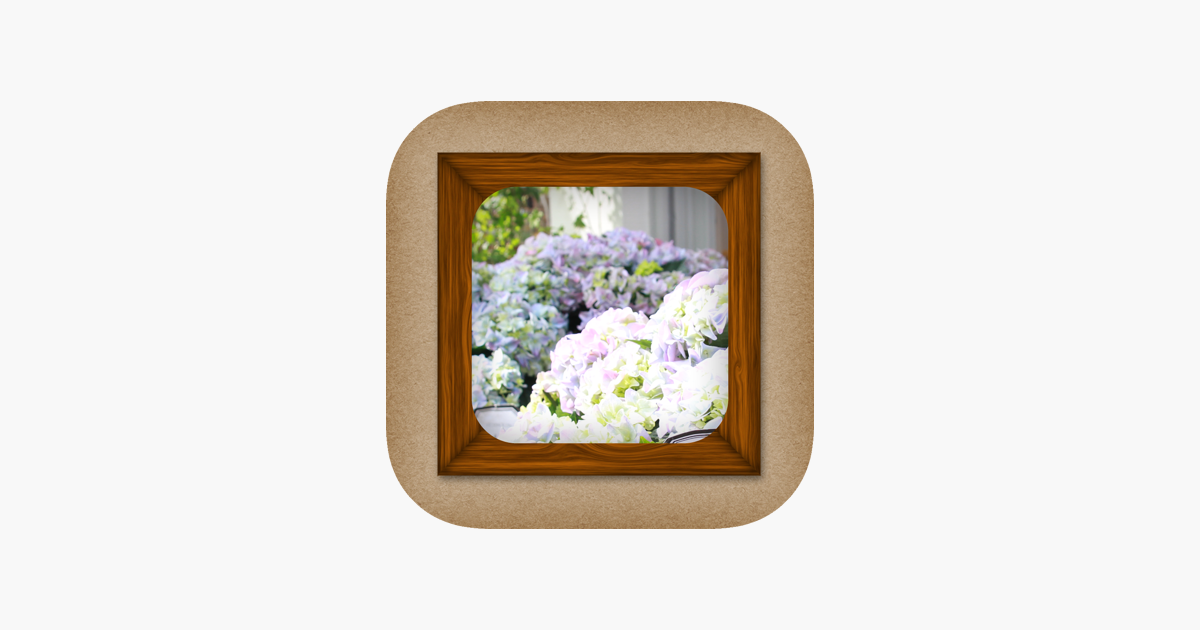 Hyacinth , HD Wallpaper & Backgrounds