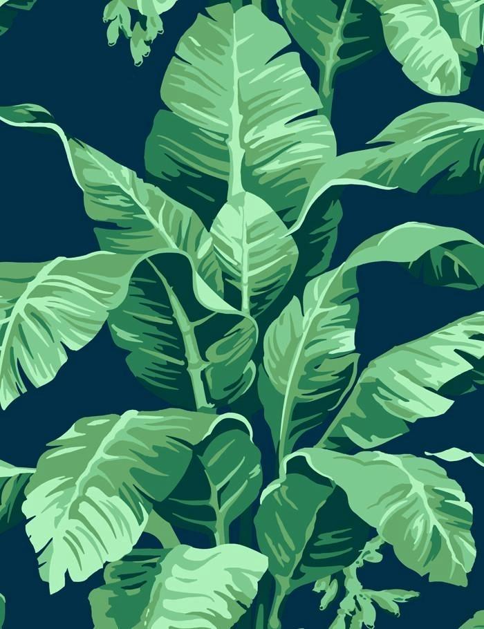 Banana Leaf Wallpaper Uk - Nathan Turner Pacifico Palm , HD Wallpaper & Backgrounds
