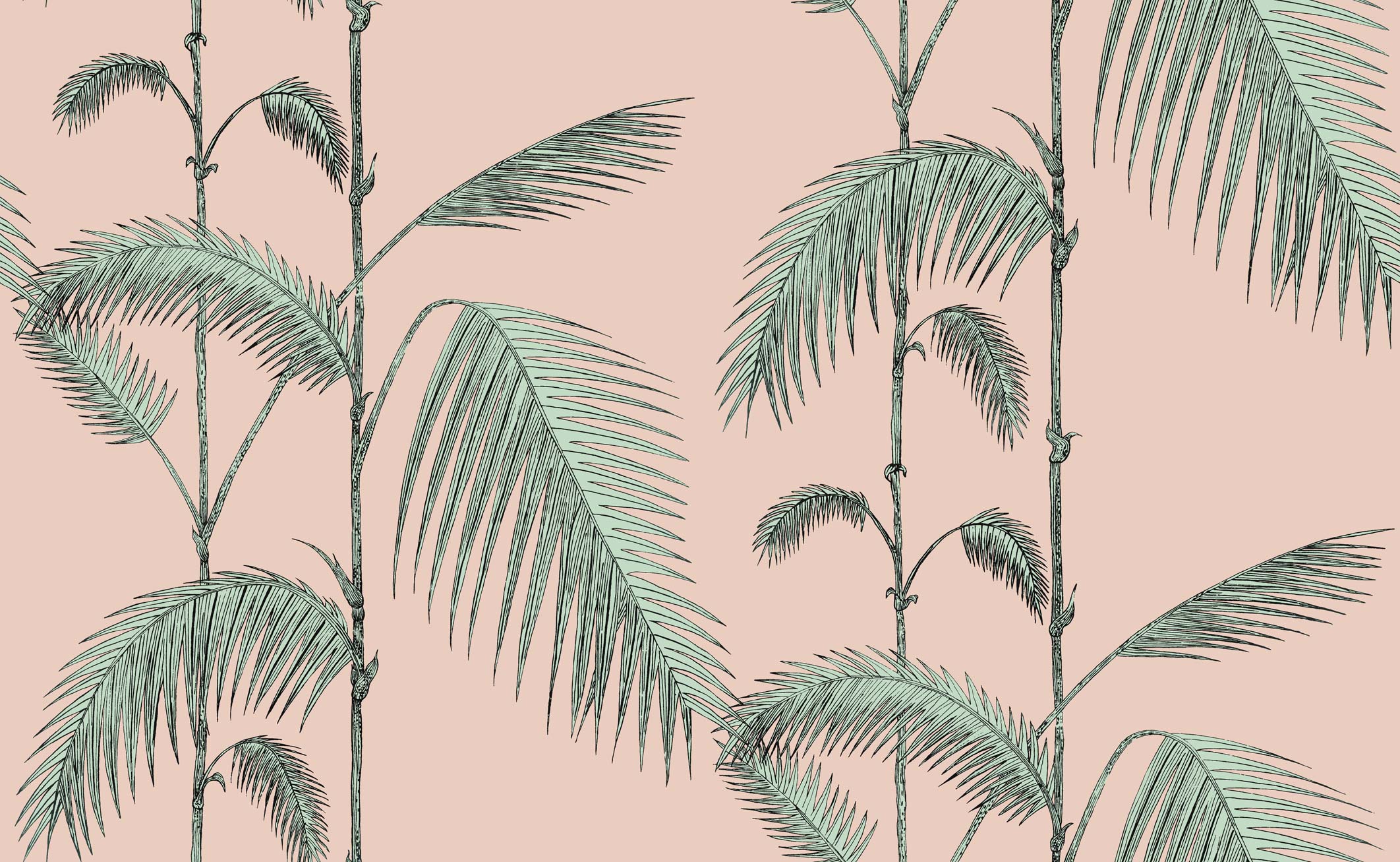 112/2005 Palm Leaves Wallpaper - Cole And Son Icons Palm Leaves , HD Wallpaper & Backgrounds