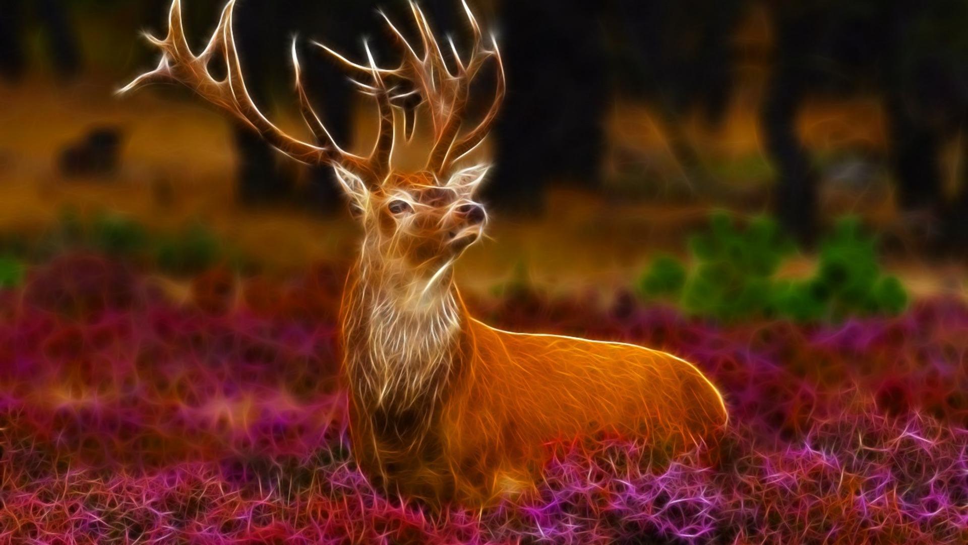 Stag Wallpaper Hd , HD Wallpaper & Backgrounds