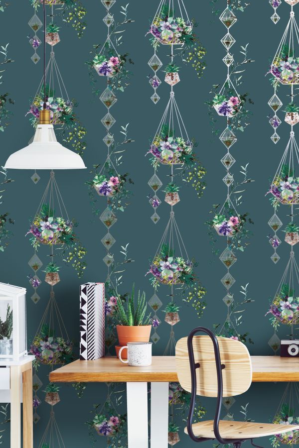 Albany Botany , HD Wallpaper & Backgrounds