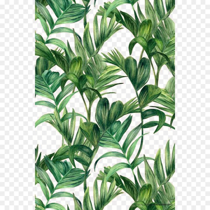 Leaf Green Electric Arches Wallpaper Palm Leaf Xnmzr - Palm Leaf Png Pattern , HD Wallpaper & Backgrounds