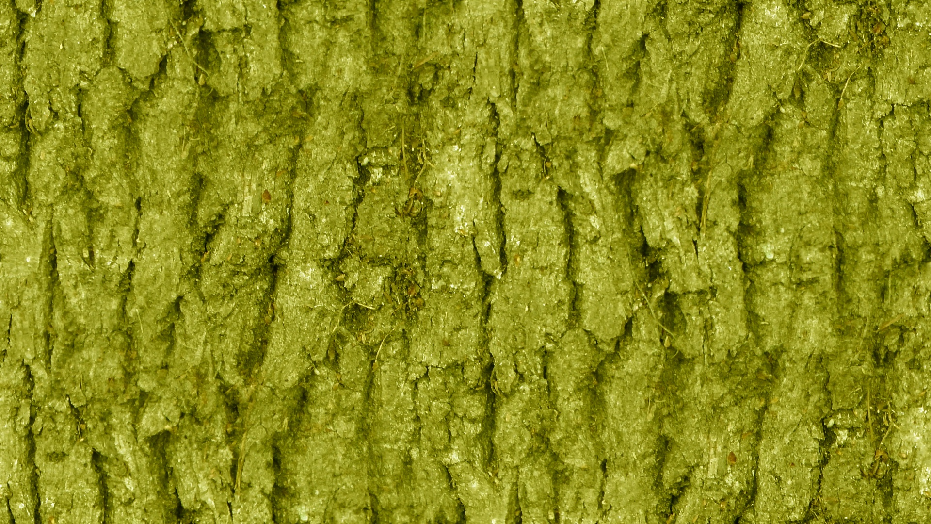 Olive Green Wallpaper Free Photo - Wallpaper , HD Wallpaper & Backgrounds