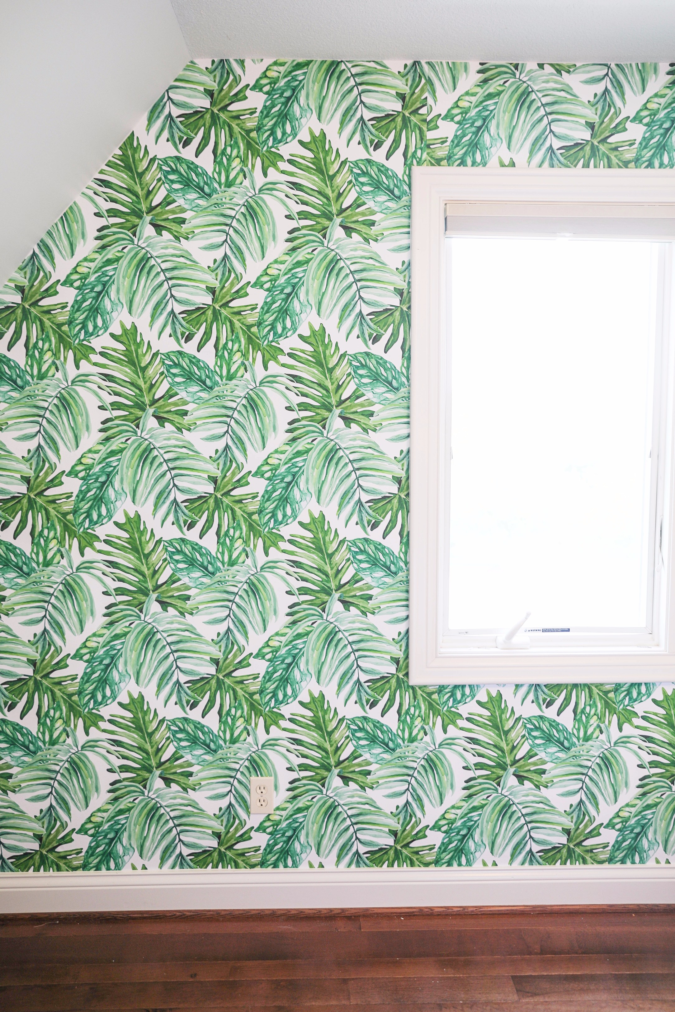 Palm Leaf Wallpaper As A Statement Wall - Window , HD Wallpaper & Backgrounds