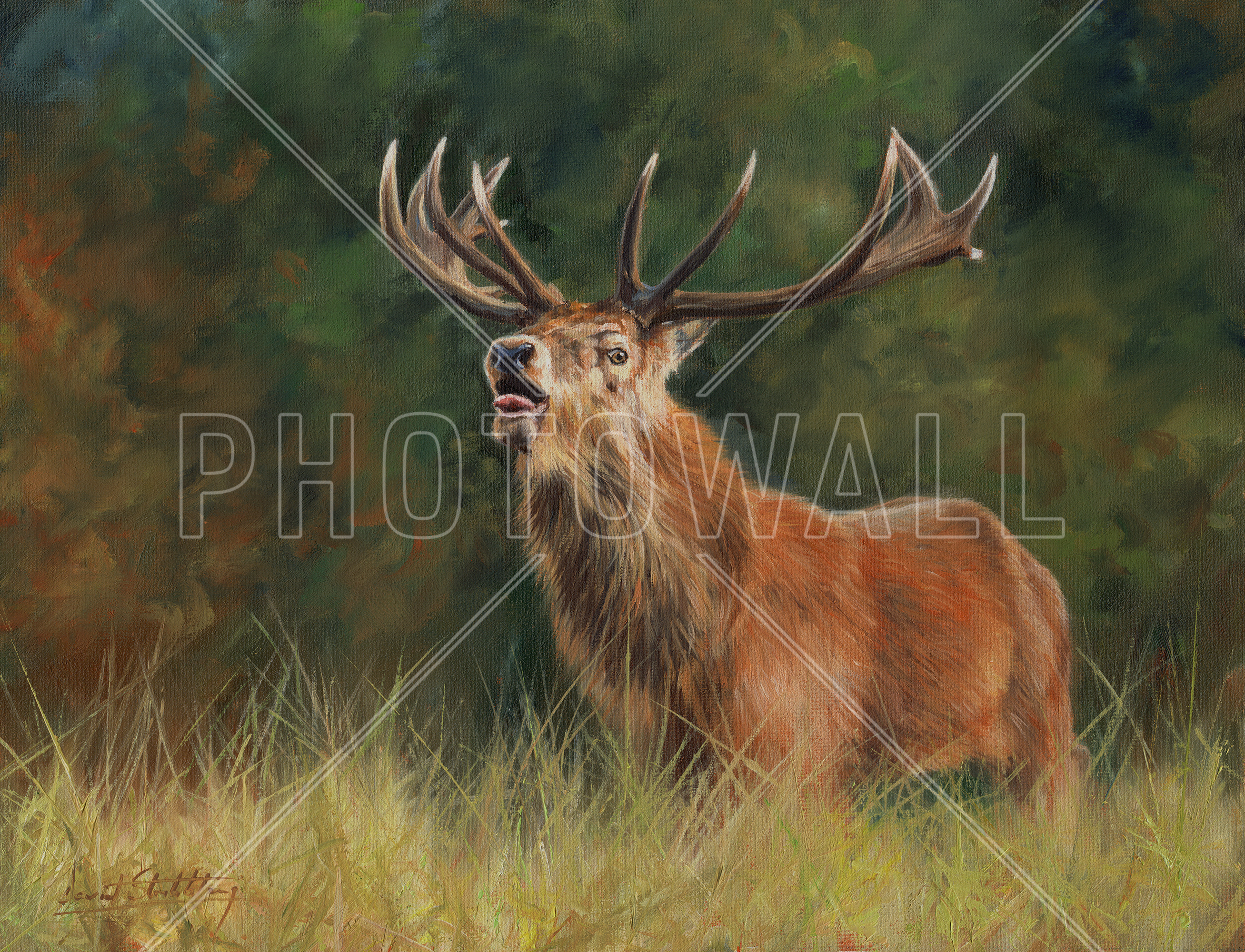 Red Deer Stag - Red Deer Stag Painting , HD Wallpaper & Backgrounds