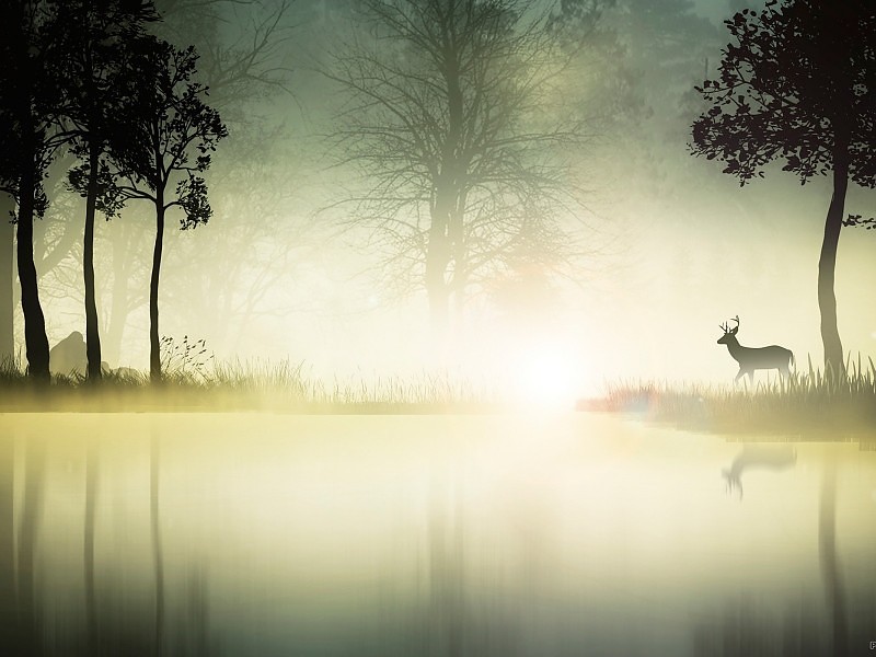 Mystic Forest Stag Wallpaper - Yearning For God , HD Wallpaper & Backgrounds