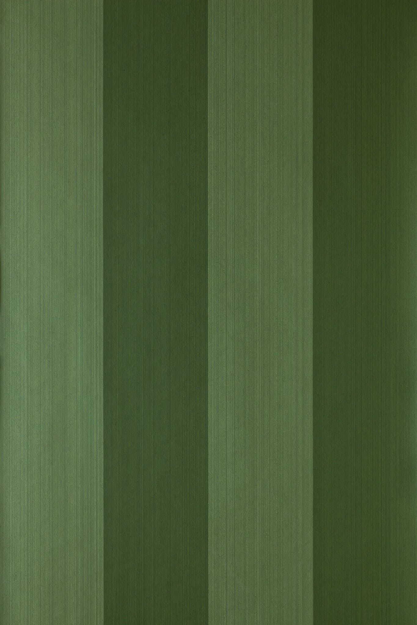 Grass , HD Wallpaper & Backgrounds