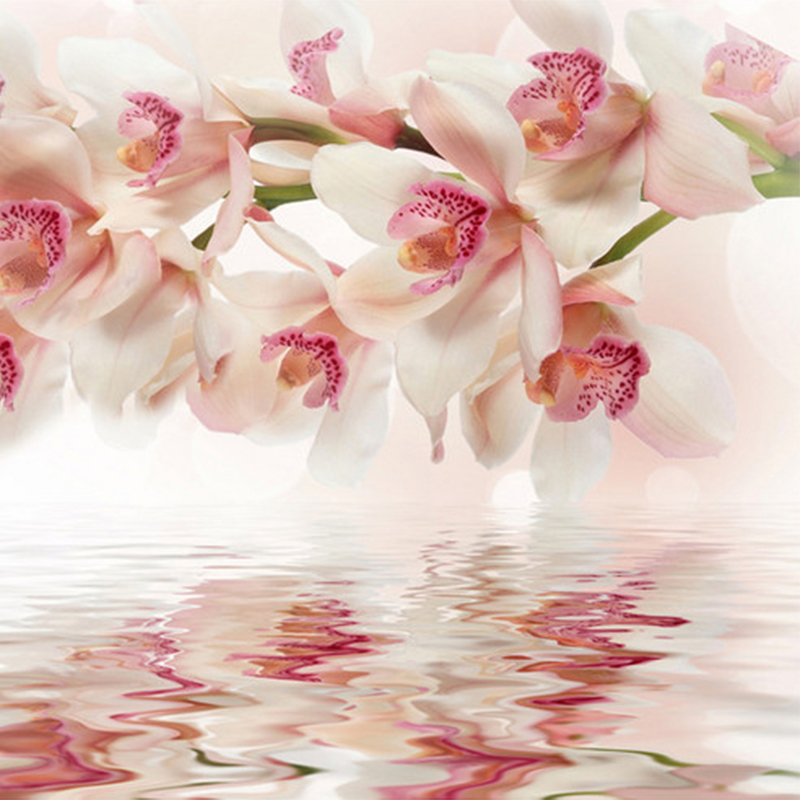Orchid Live Wallpaper - Hd Wallpaper Orchid White Rose , HD Wallpaper & Backgrounds