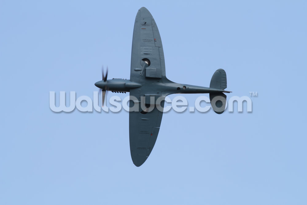 Spitfire Under Carriage Mural Wallpaper - Supermarine Spitfire , HD Wallpaper & Backgrounds