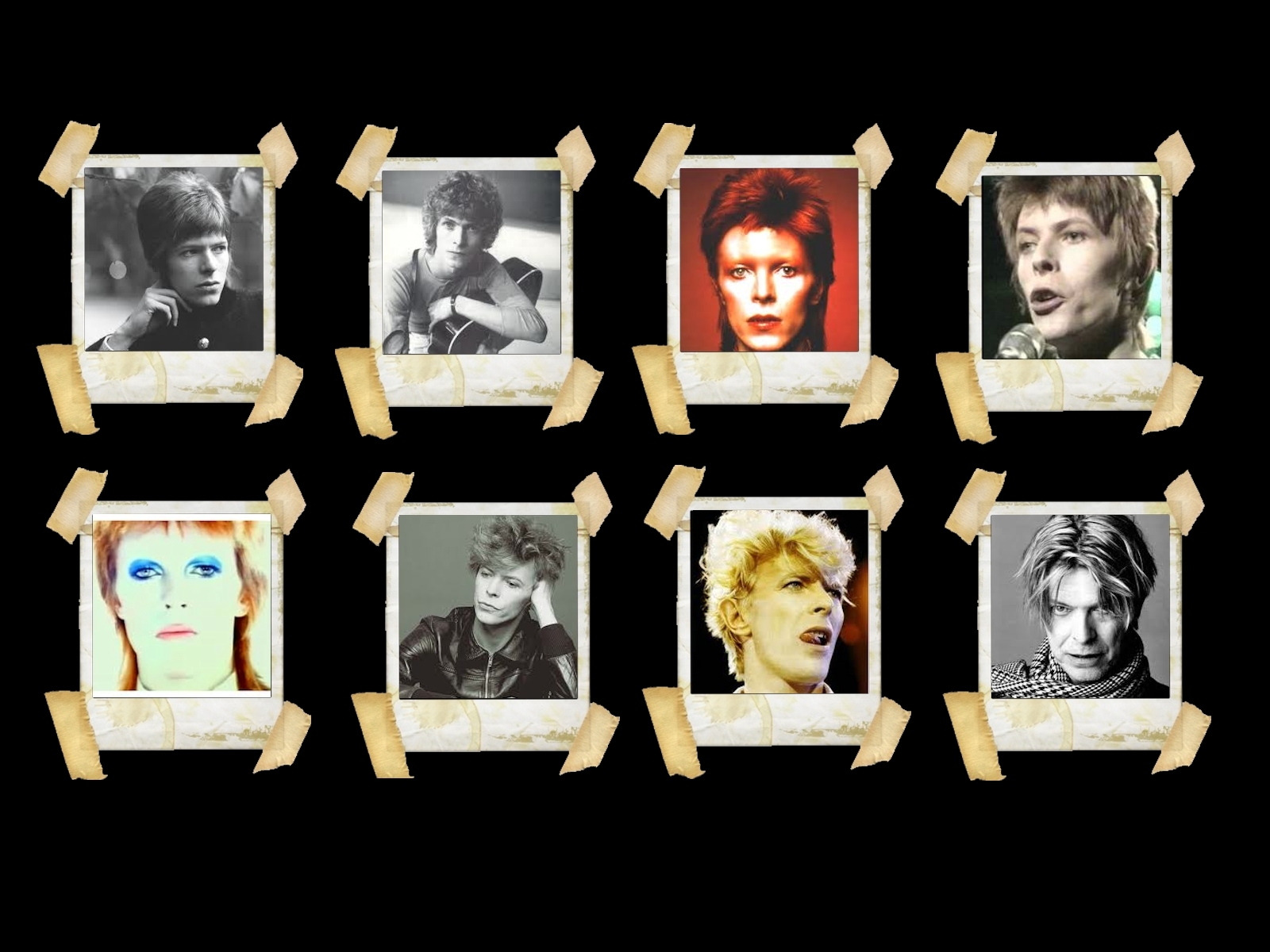 David Bowie Wallpaper , HD Wallpaper & Backgrounds