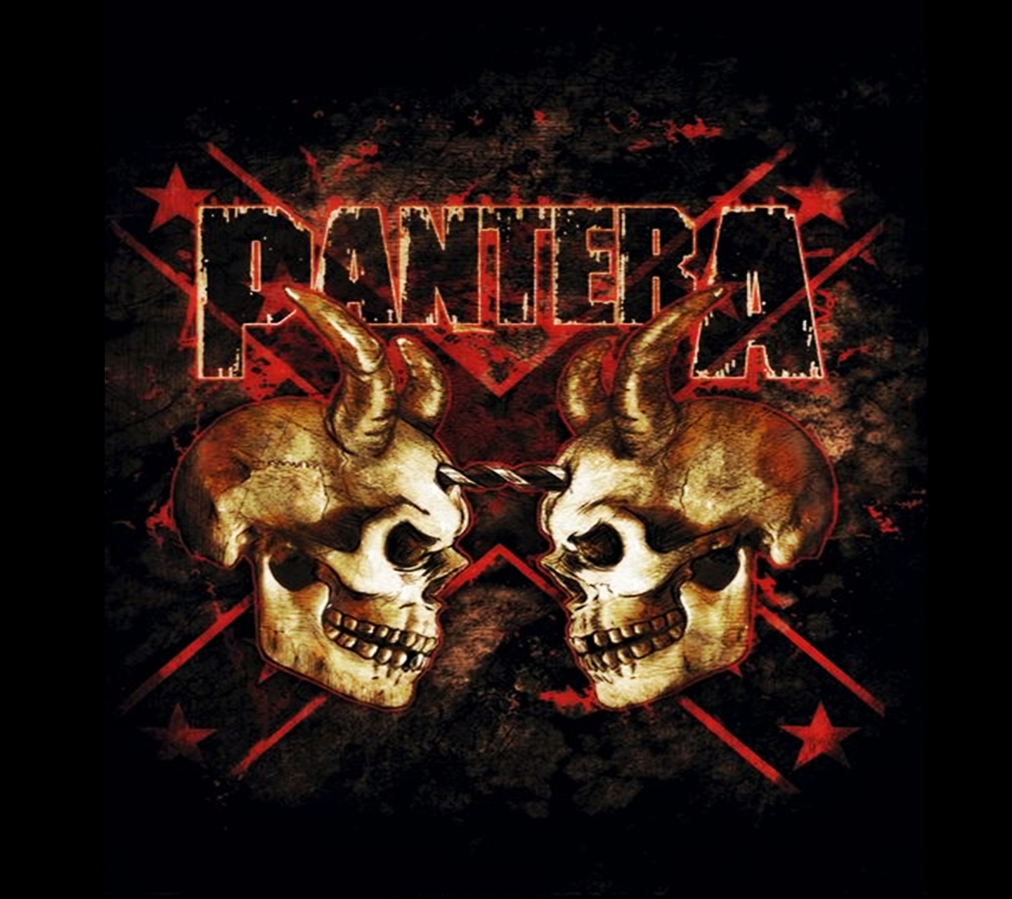 Pantera Skull , HD Wallpaper & Backgrounds