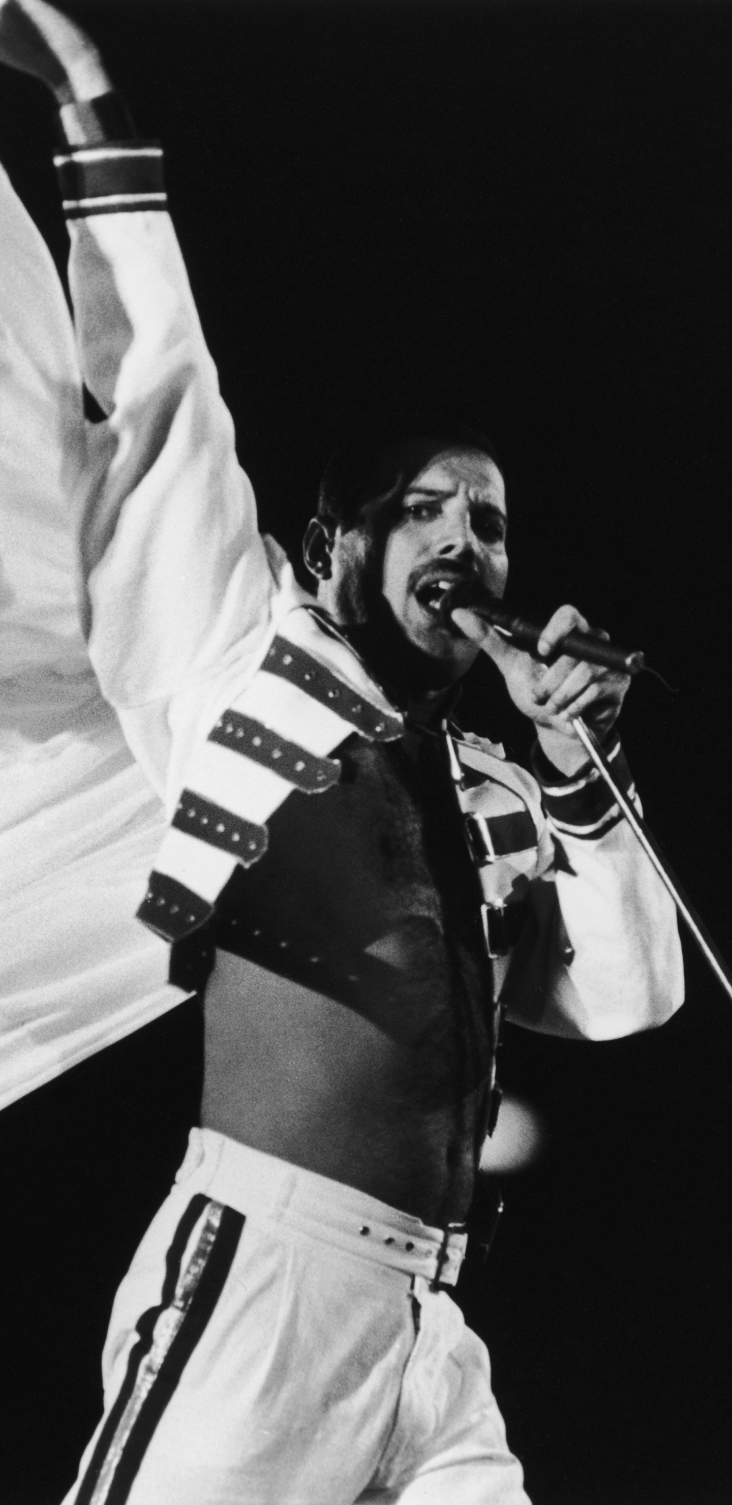 Wallpaper - Freddie Mercury Wallpaper Phone , HD Wallpaper & Backgrounds