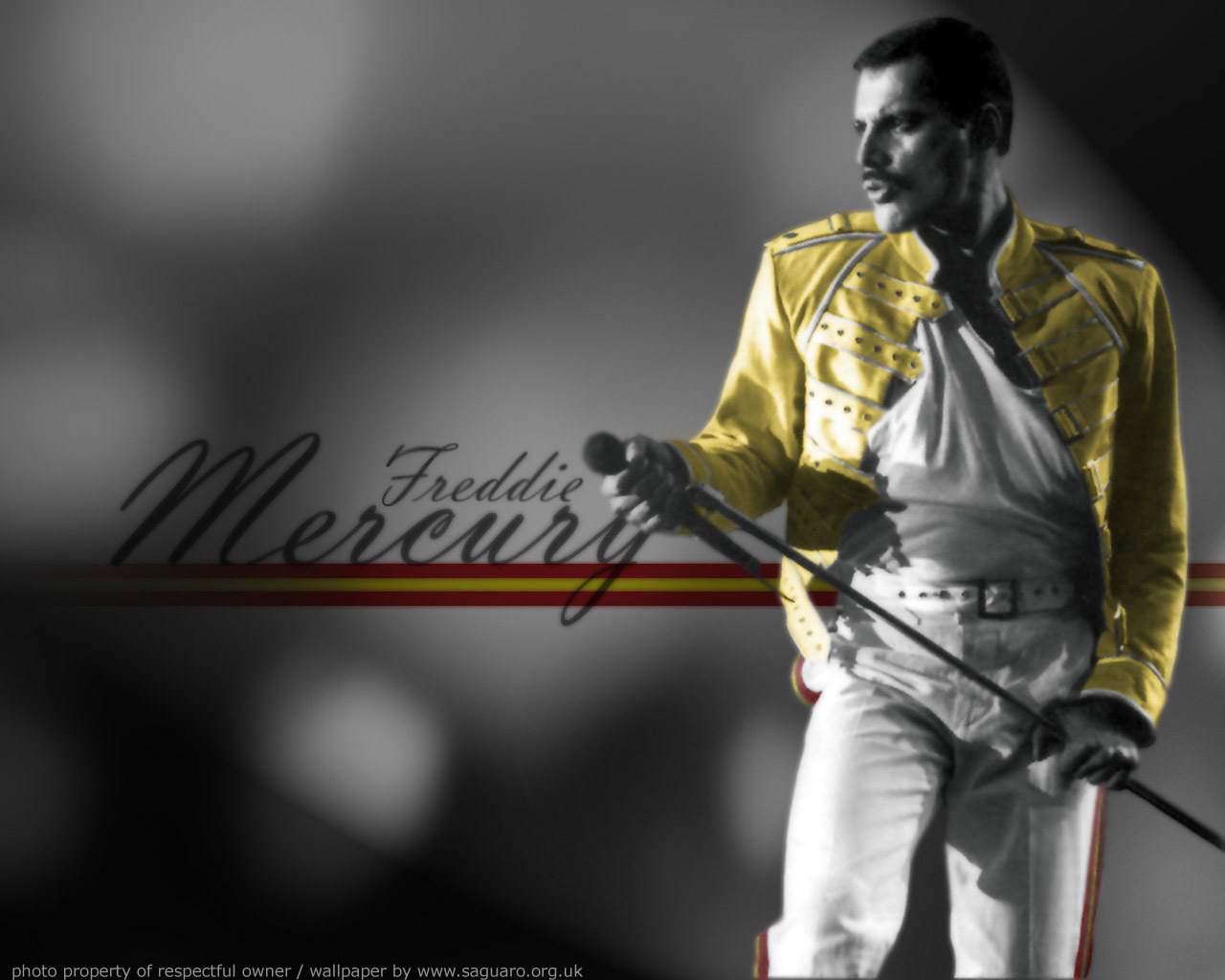 Freddie Mercury - Freddie Mercury Wallpaper Hd , HD Wallpaper & Backgrounds