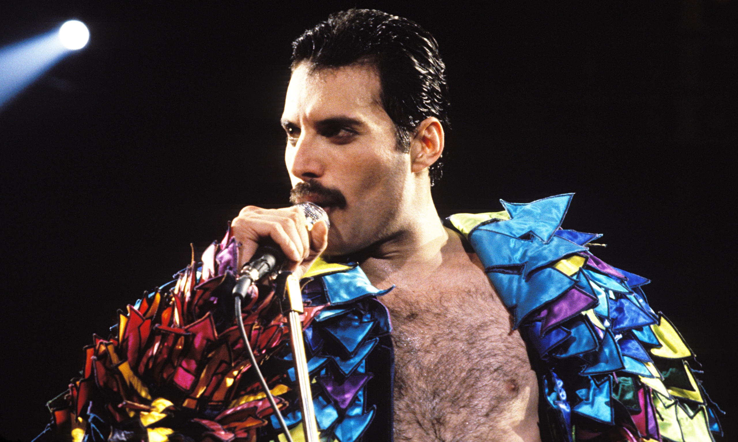 Desktop Wallpapers Free Freddie Mercury - Best Freddie Mercury , HD Wallpaper & Backgrounds