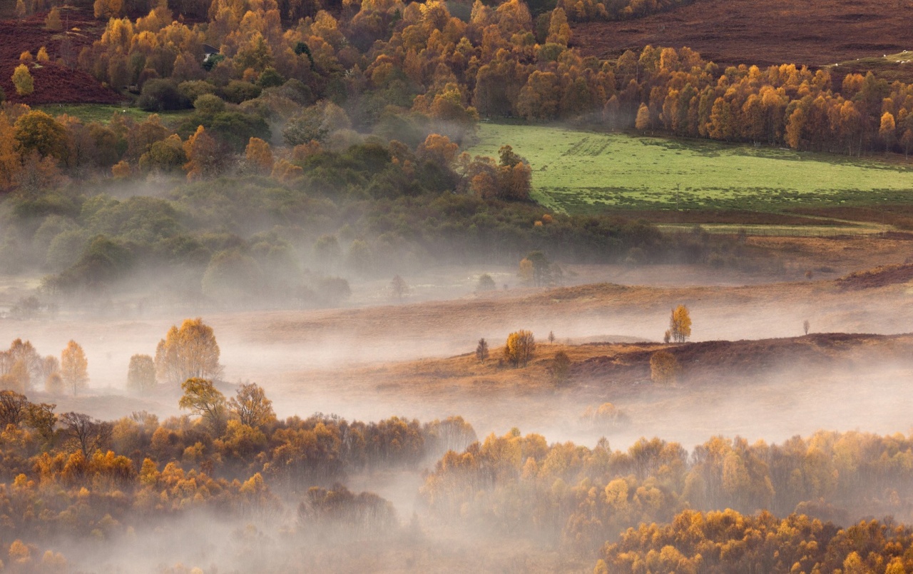 Scottish Misty Morning Wallpapers - Misty Morning Autumn , HD Wallpaper & Backgrounds