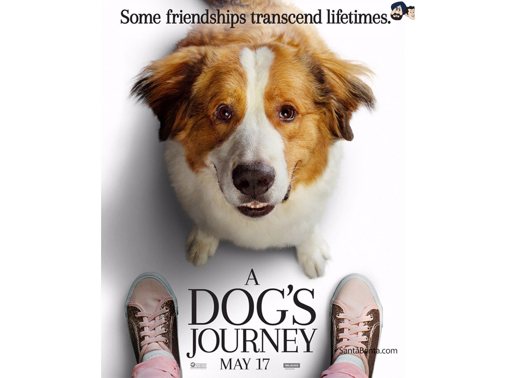 A Dogs Journey - S Dog's Journey Movie , HD Wallpaper & Backgrounds