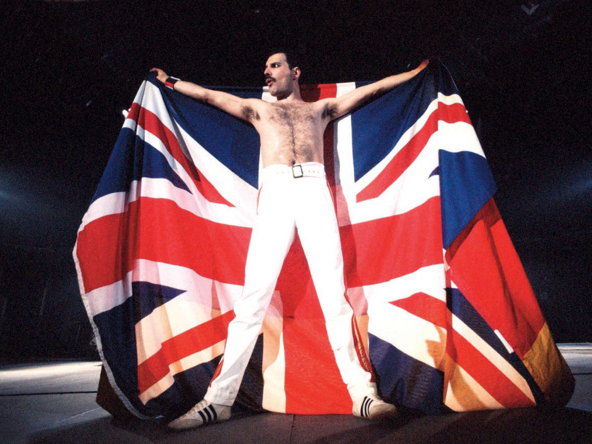 High Resolution Freddie Mercury Hd Background Id - Freddie Mercury Immagini Hd , HD Wallpaper & Backgrounds