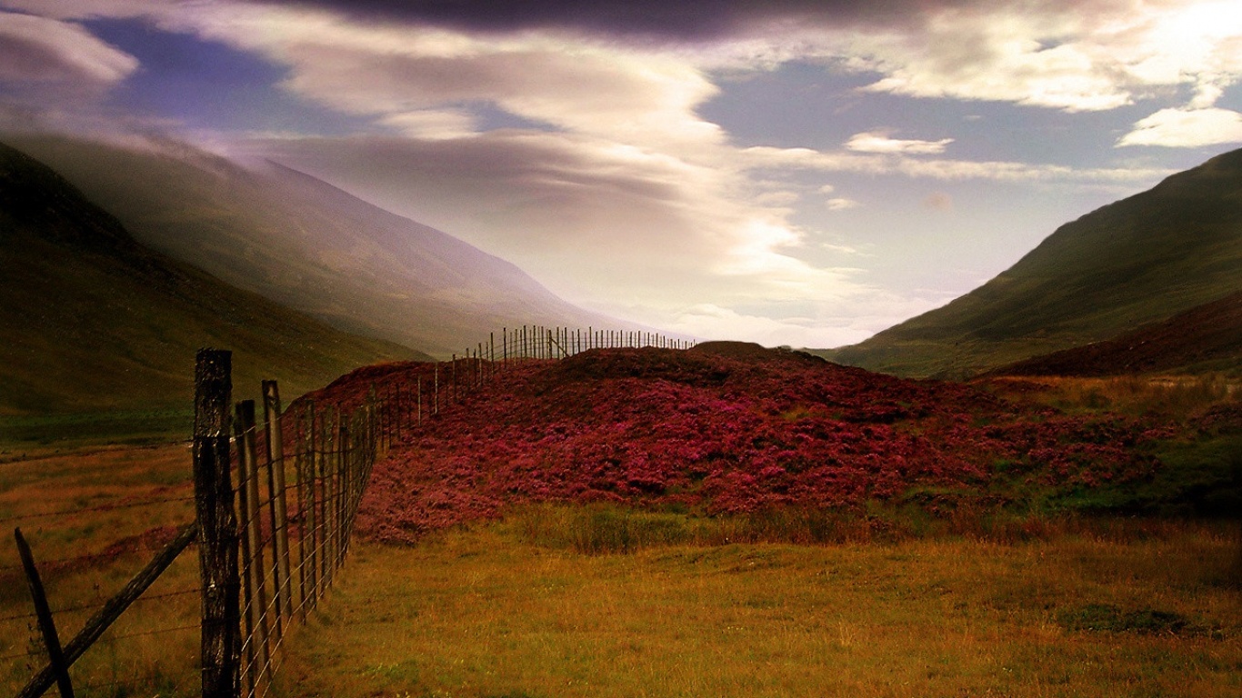 Zastaki - Com - Scottish Heather - Facebook Covers Scottish Highlands , HD Wallpaper & Backgrounds