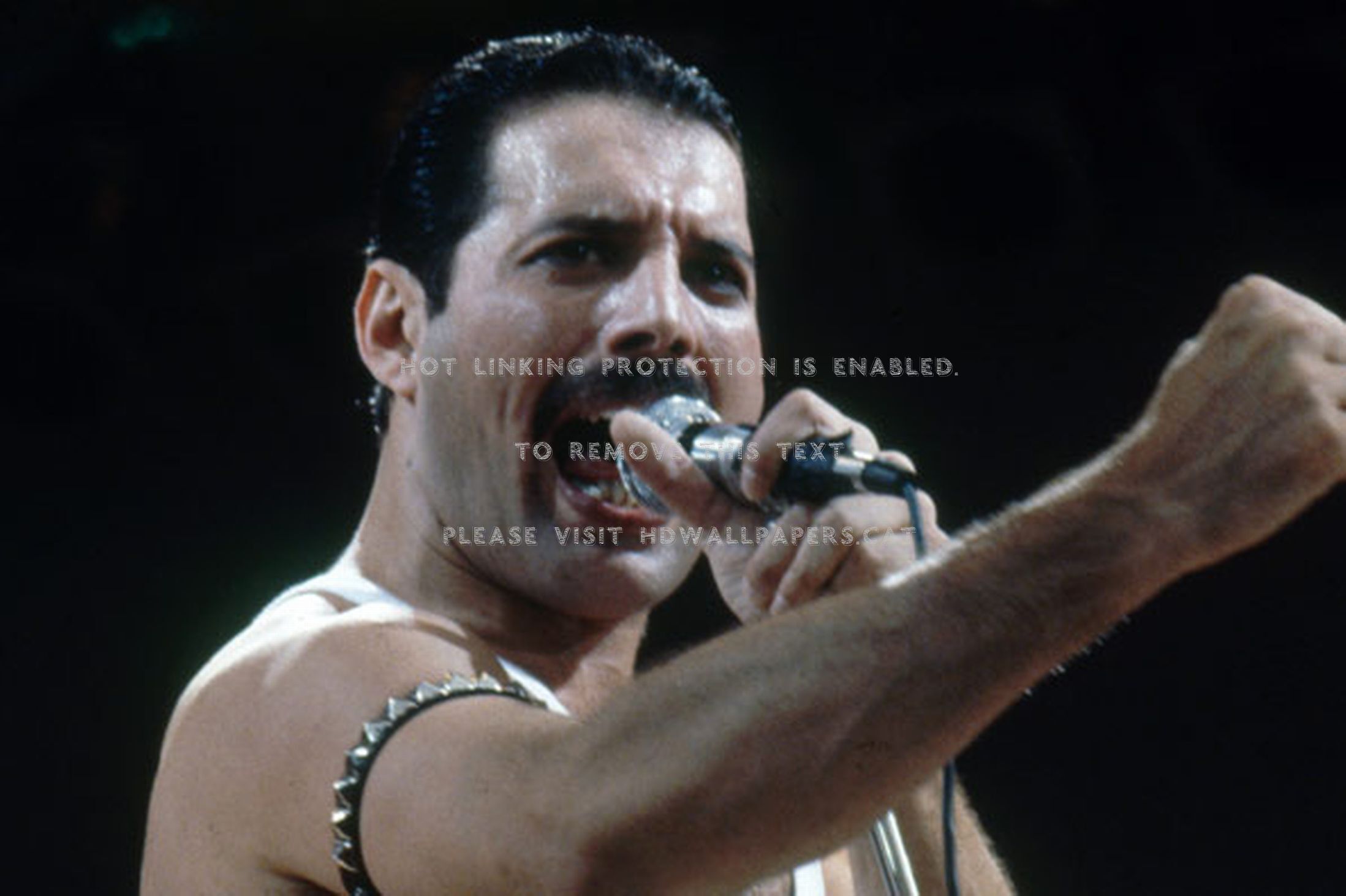 Freddie Mercury Live Aid Queen Rock And - Freddie Mercury Meme Mama , HD Wallpaper & Backgrounds
