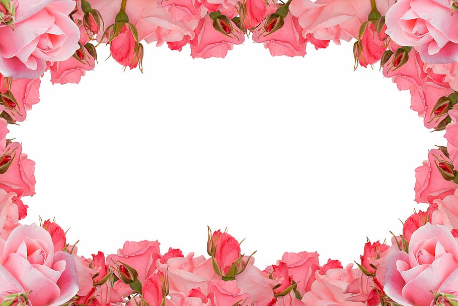 Pink Floral Frame , Roses Frame, Flower, Romance, Love, - Happy Birthday 19 Years Girl , HD Wallpaper & Backgrounds