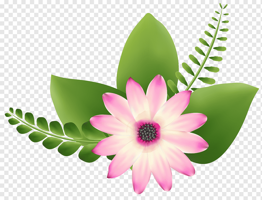 Pink Gerbera Flower Illustration, Flower Art, Pink - Gracias Dios Por Un Nuevo Dia Feliz Martes , HD Wallpaper & Backgrounds
