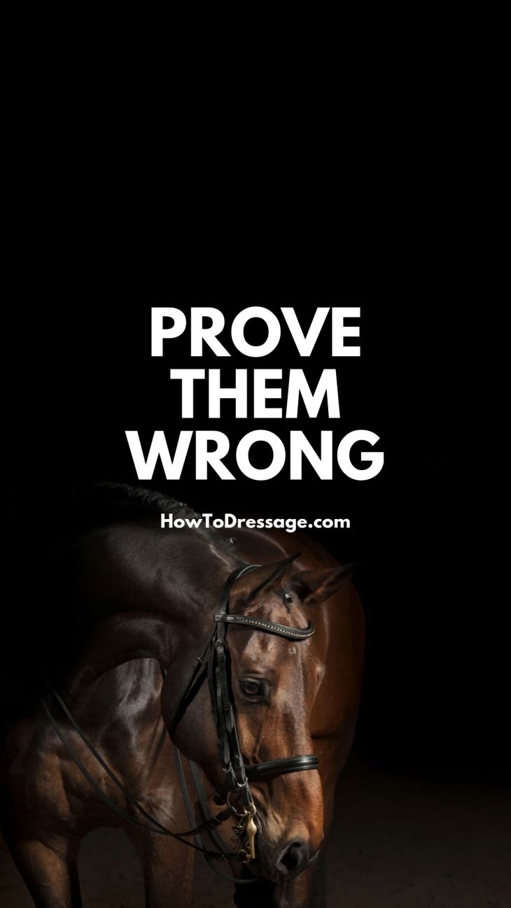 Prove Them Wrong Dressage Quote - Walk The Moon , HD Wallpaper & Backgrounds