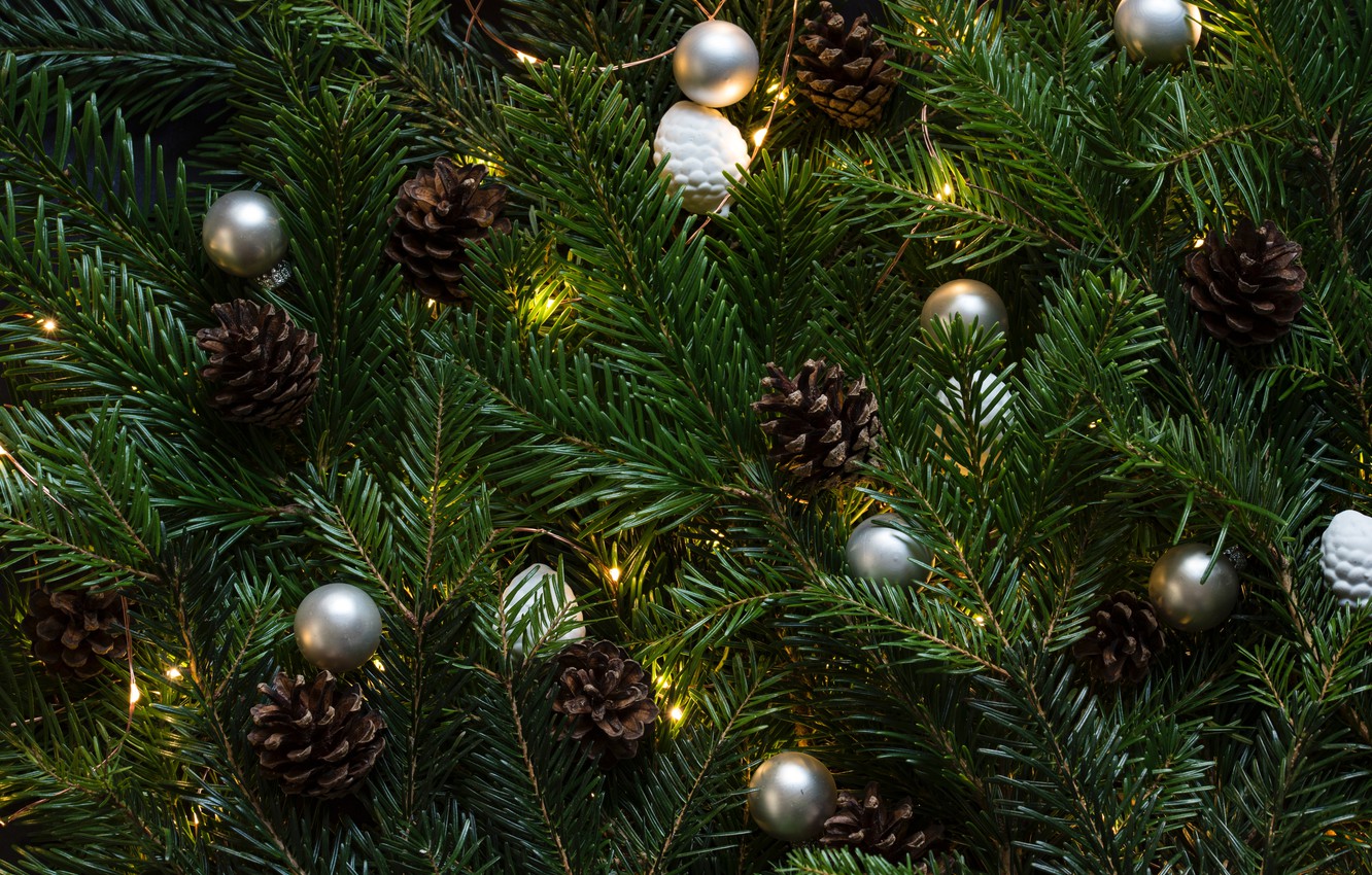 Photo Wallpaper Green, Christmas Tree, Christmas Lights - Christmas Tree , HD Wallpaper & Backgrounds