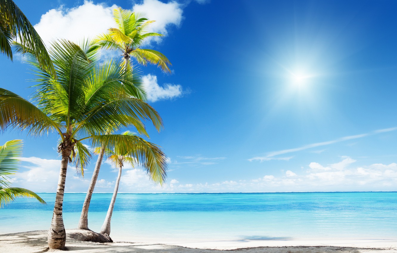 Photo Wallpaper Beach, Nature, Palm Trees, The Ocean, - Island Wallpaper Paradise , HD Wallpaper & Backgrounds