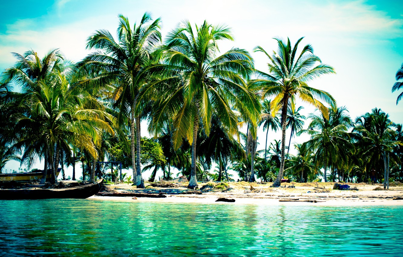 Photo Wallpaper Beach, Tropics, Palm Trees, The Ocean, - Fondo Palmeras Mar Con Isla , HD Wallpaper & Backgrounds