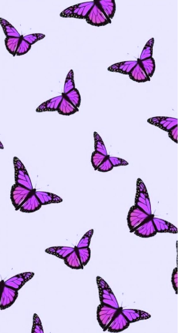 Aesthetic Wallpapers Butterfly , HD Wallpaper & Backgrounds