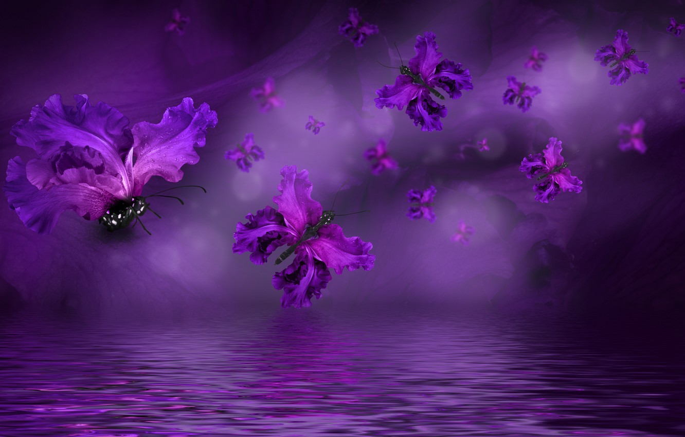 Photo Wallpaper Butterfly, Petals, Water, Purple, Butterflies, - Purple Butterfly , HD Wallpaper & Backgrounds