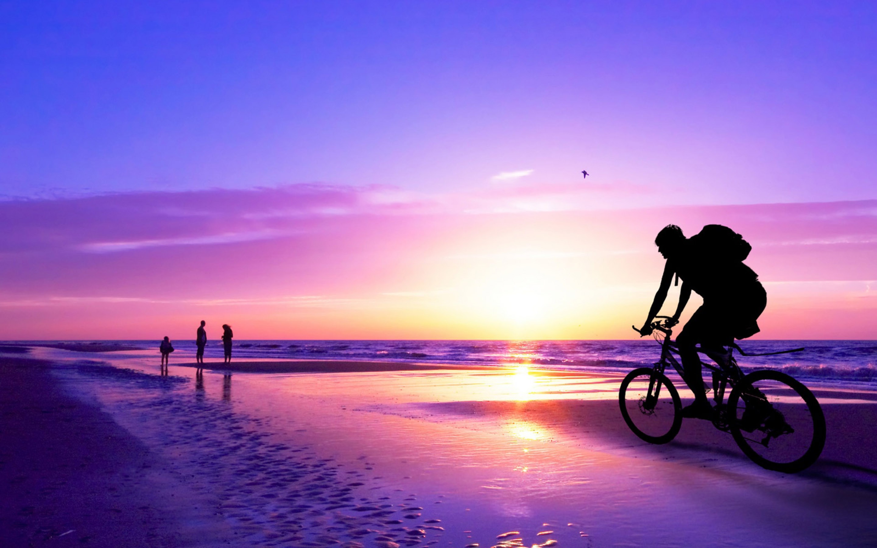 Cycling On Sea , HD Wallpaper & Backgrounds