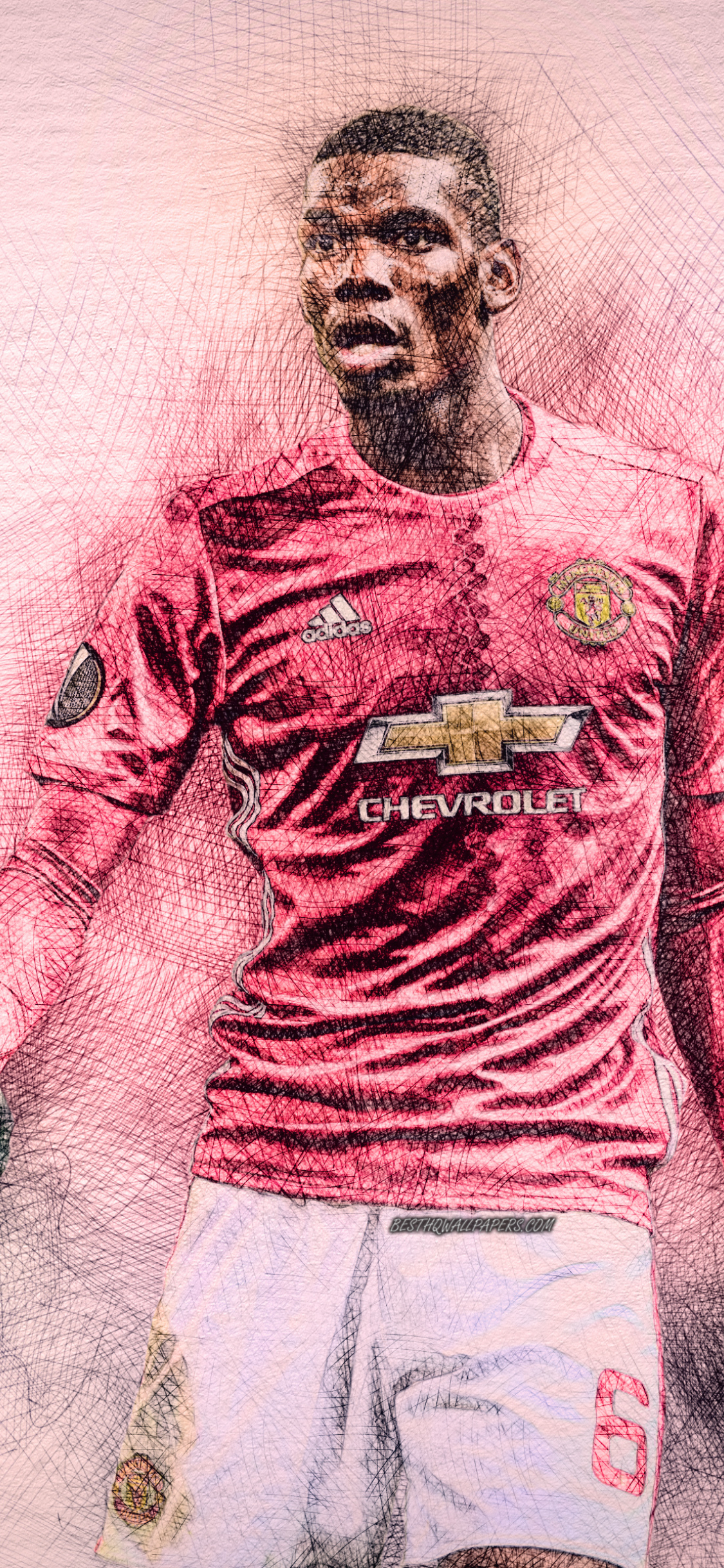 Pogba Wallpaper Hd Manchester United , HD Wallpaper & Backgrounds