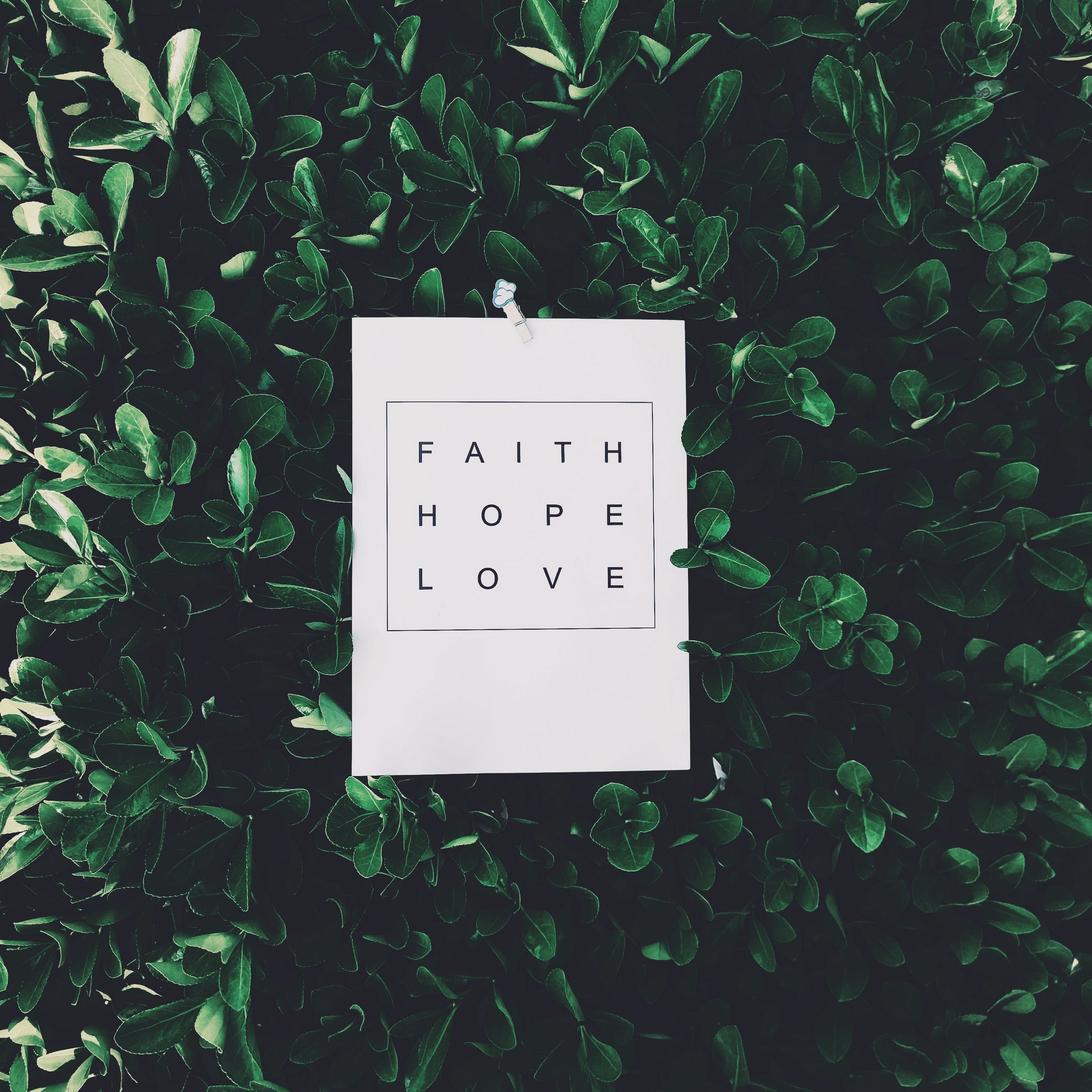 Wallpaper Faith, Hope, Love, Inscription - Faith Hope Love Iphone , HD Wallpaper & Backgrounds