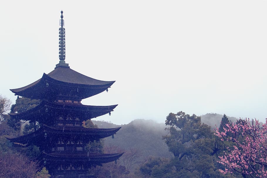 Japan, Yamaguchi Prefecture, Gojyunotou, Traditional, - Japanese Wallpaper Temple , HD Wallpaper & Backgrounds