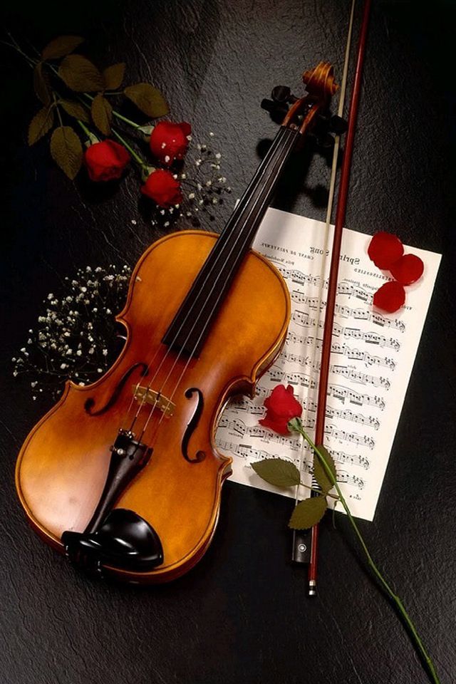 Beautiful Pictures Of Violin , HD Wallpaper & Backgrounds