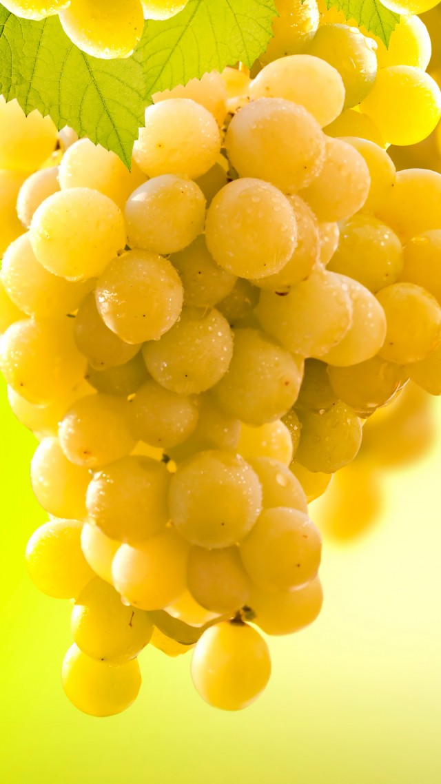 Grapes, 5k - Do Golden Raisins Come , HD Wallpaper & Backgrounds