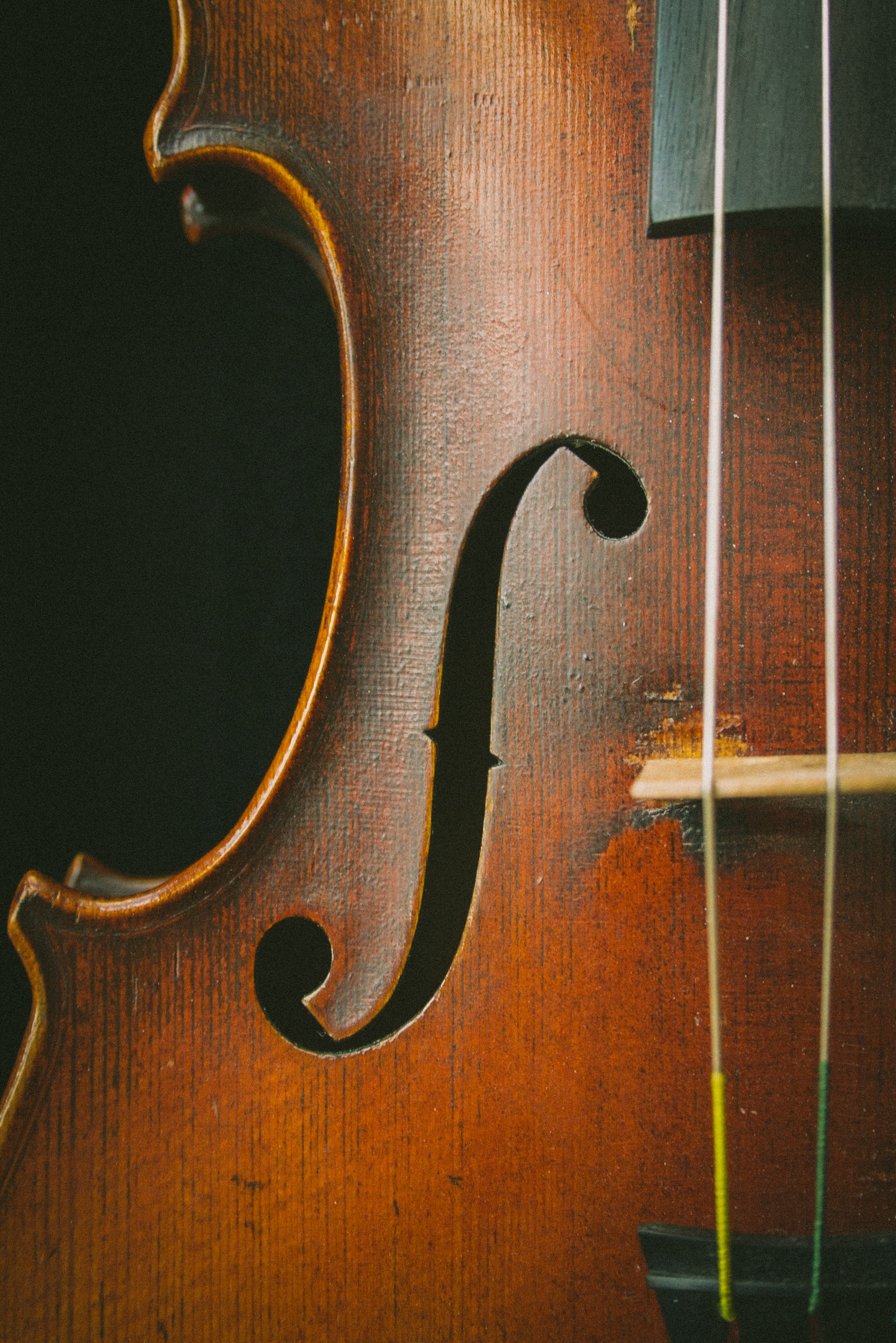 Close Up Of A Violin , HD Wallpaper & Backgrounds