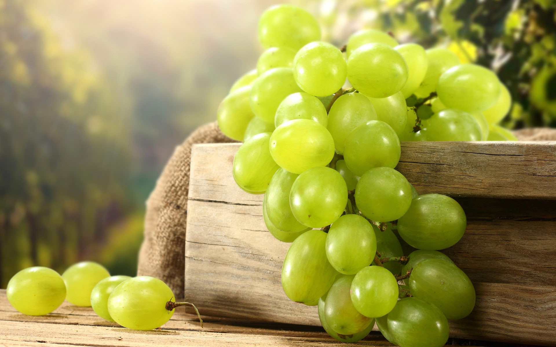 Grapes Wallpapers High Quality , HD Wallpaper & Backgrounds