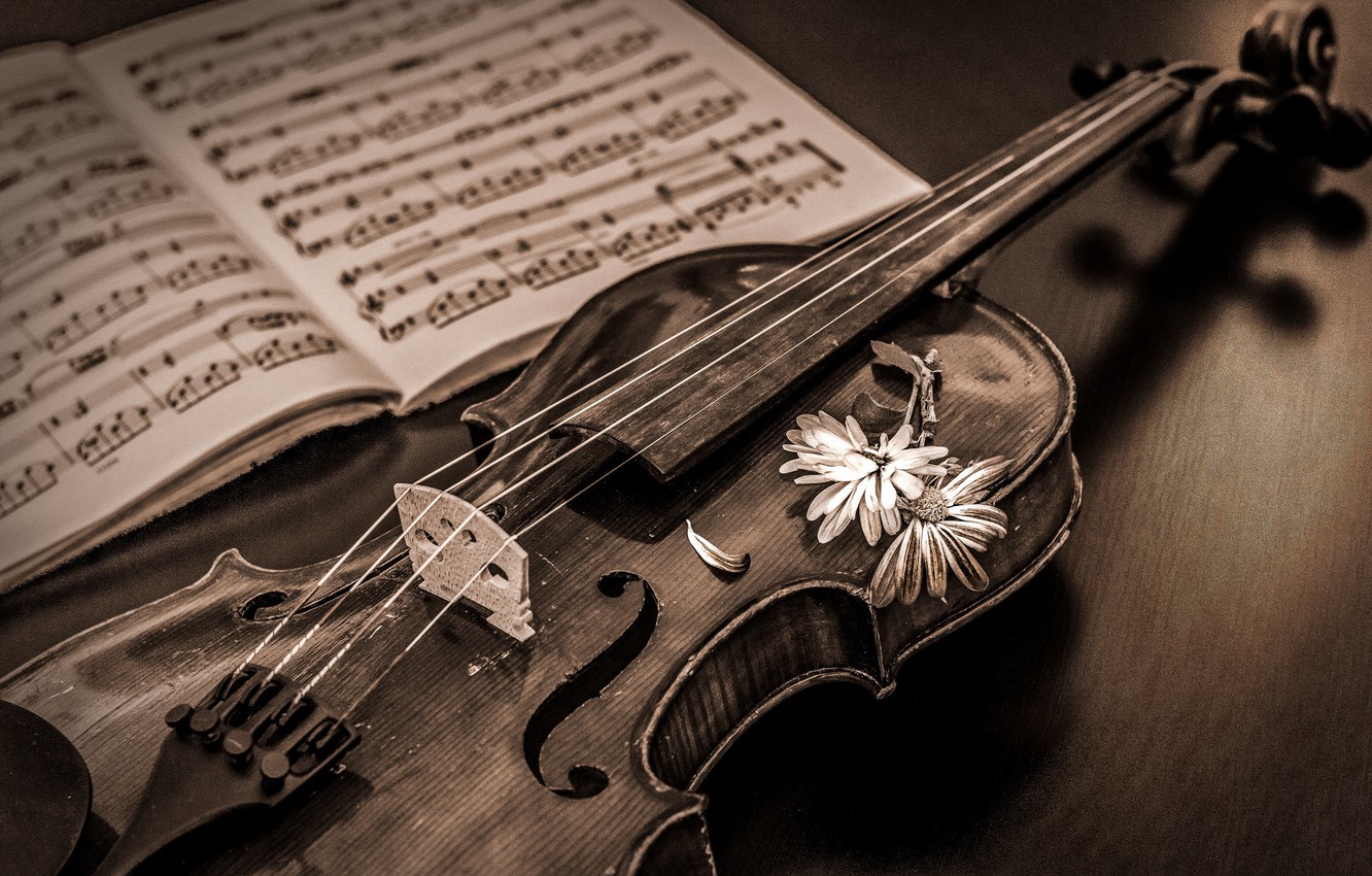 Photo Wallpaper Notes, Music, Violin - Лдсп Ламарти , HD Wallpaper & Backgrounds