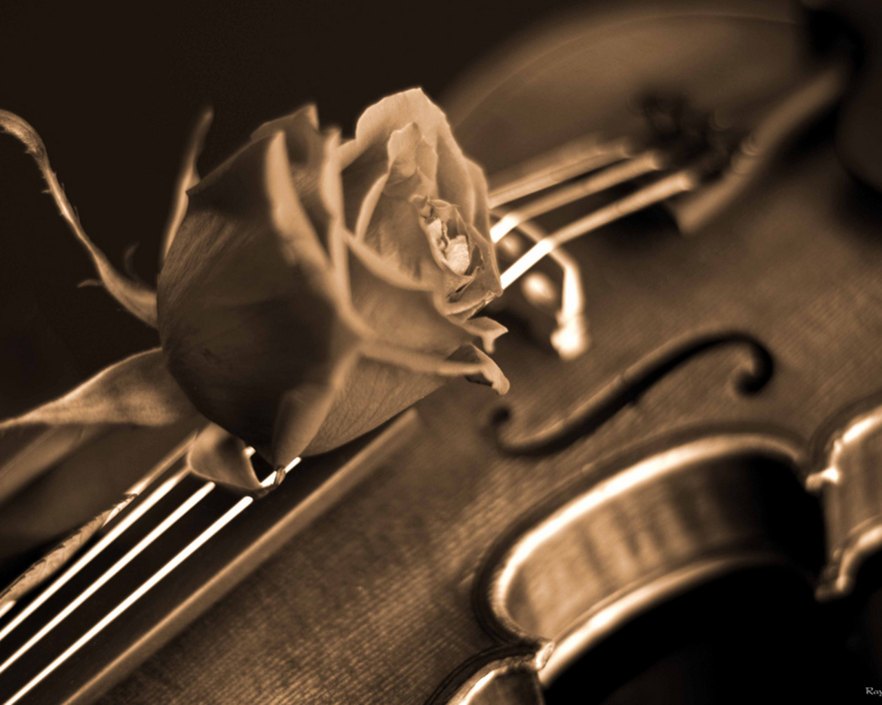 Papel De Parede Violino , HD Wallpaper & Backgrounds