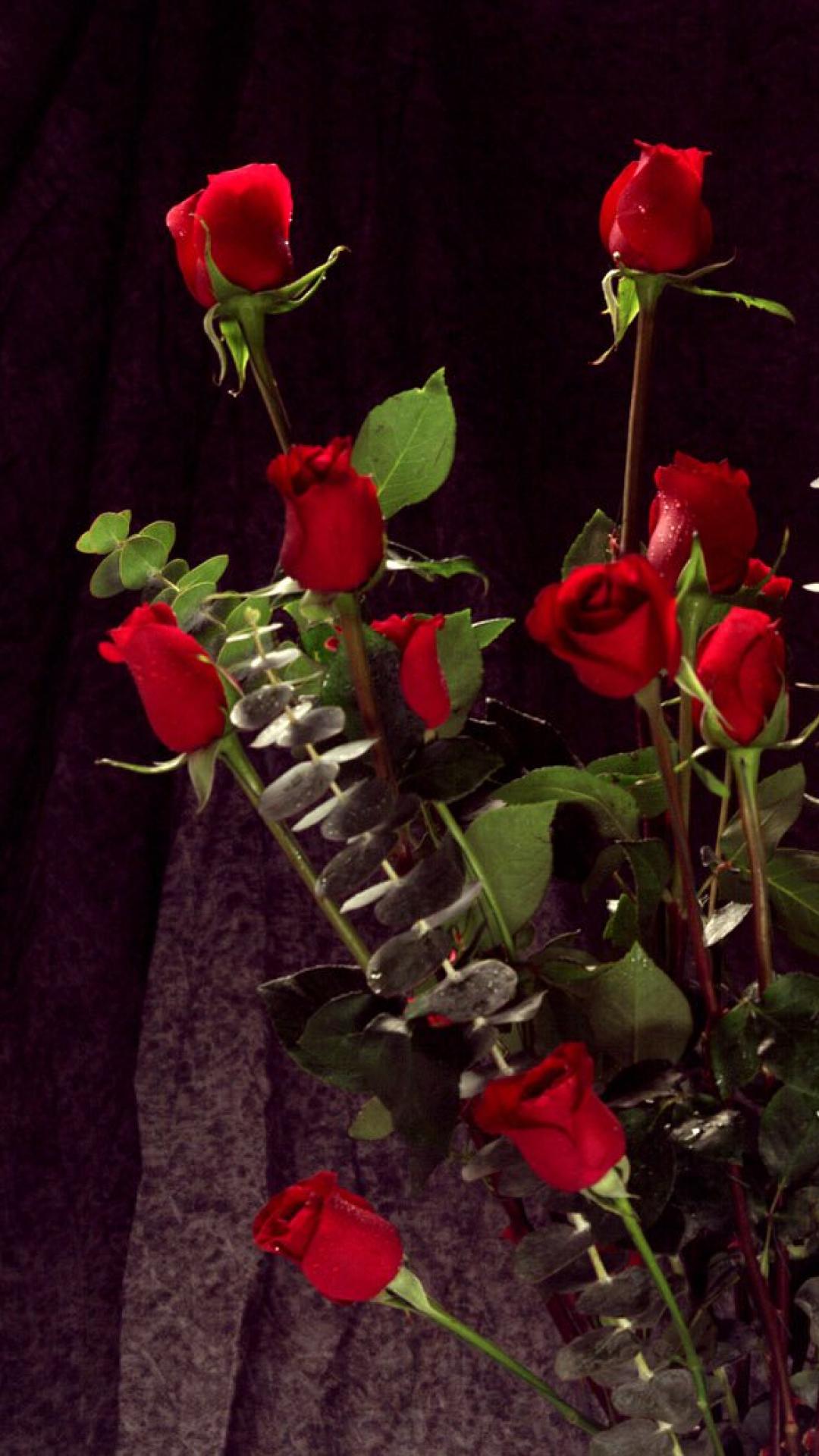 Bunch Of Red Roses , HD Wallpaper & Backgrounds