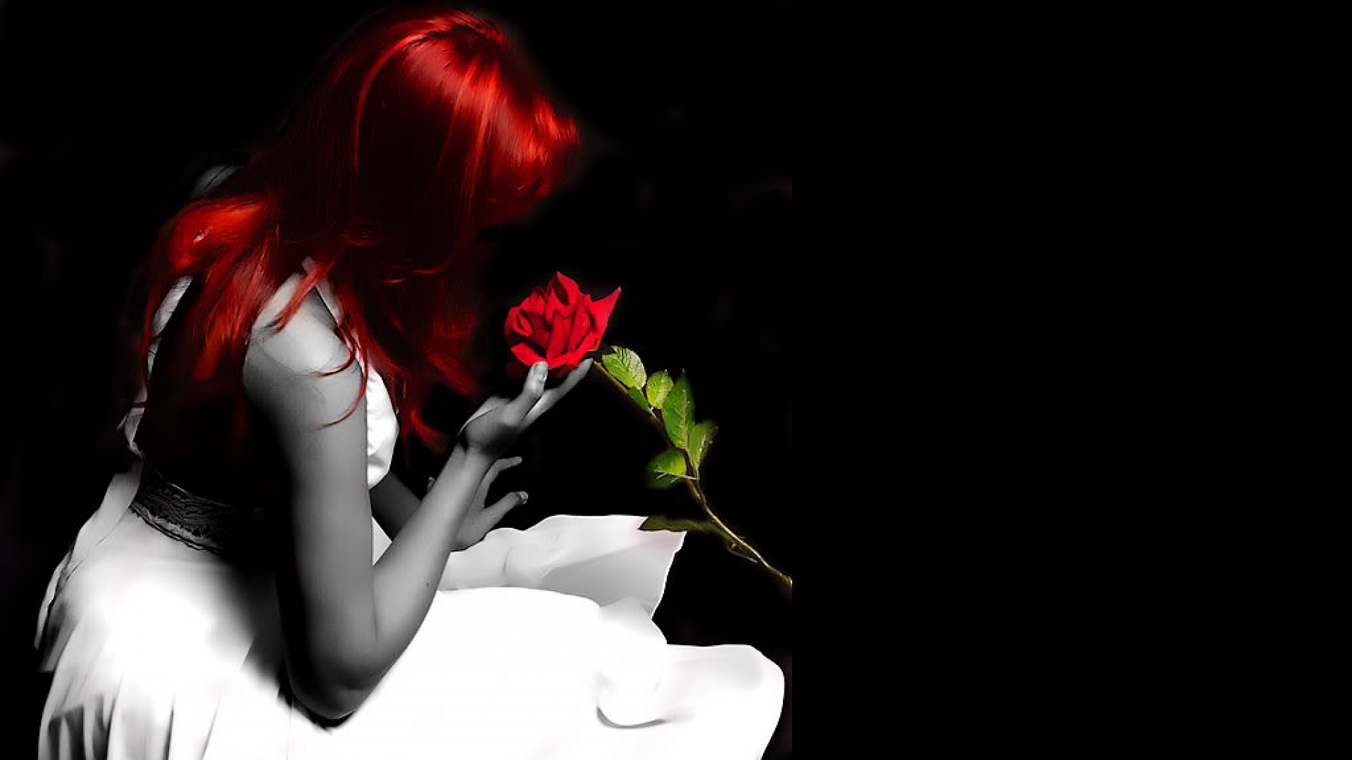Nice Wallpapers Hd Free Red Rose - Thalia Como Letra , HD Wallpaper & Backgrounds
